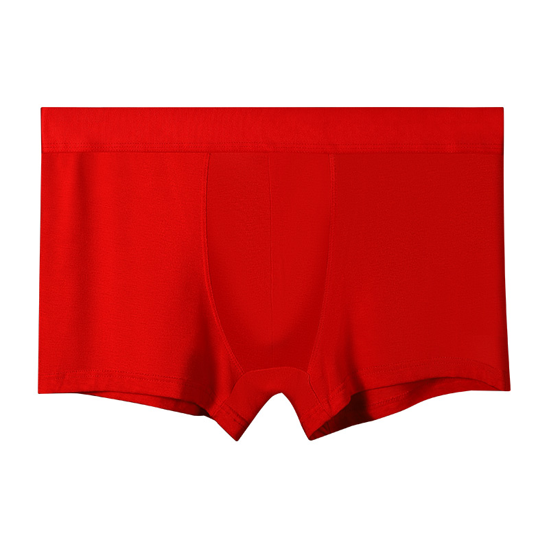 Herren-Boxershorts aus 100 % B – Boxer Brief Pack Cotton Bewertung und Preis
