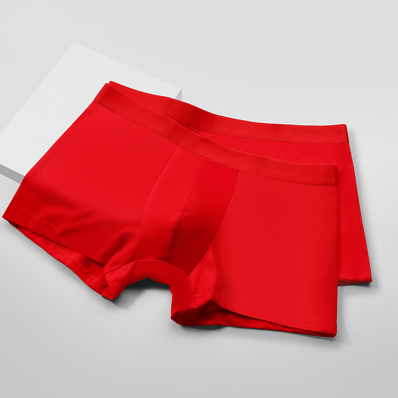 Herren-Boxershorts aus 100 % B – Boxer Brief Pack Cotton Bewertung und Preis