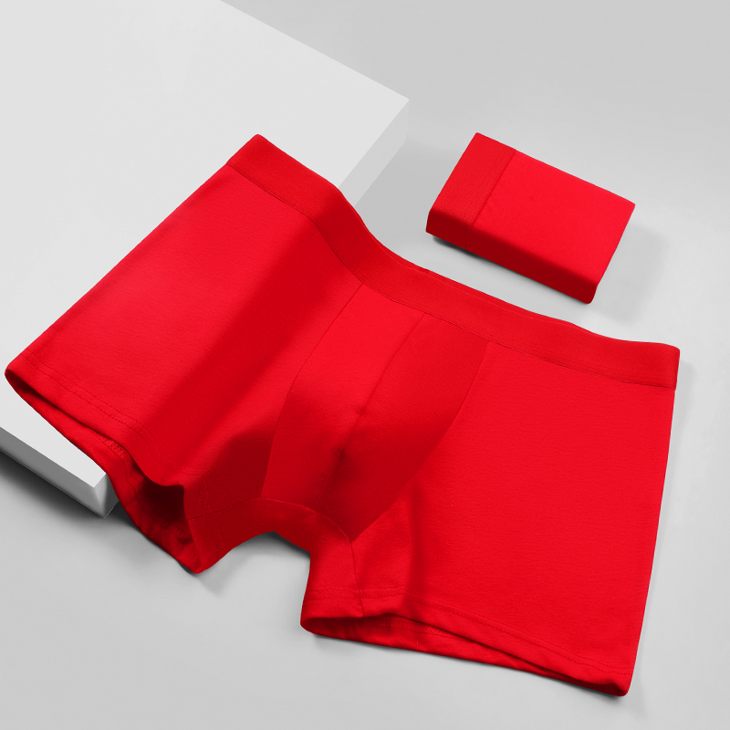 Herren-Boxershorts aus 100 % B – Boxer Brief Pack Cotton Bewertung und Preis